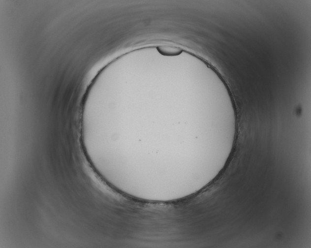 X0000116561526200912311922