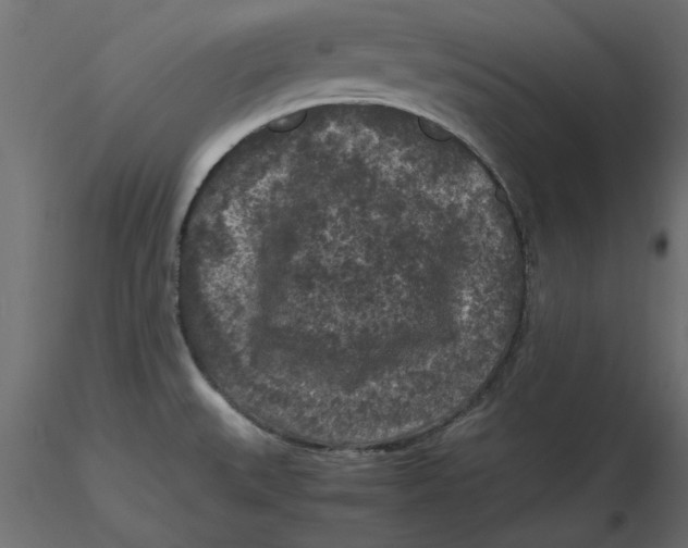 X0000116561527200912311922