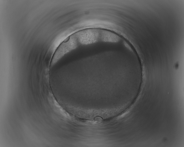 X0000116561529200912311922