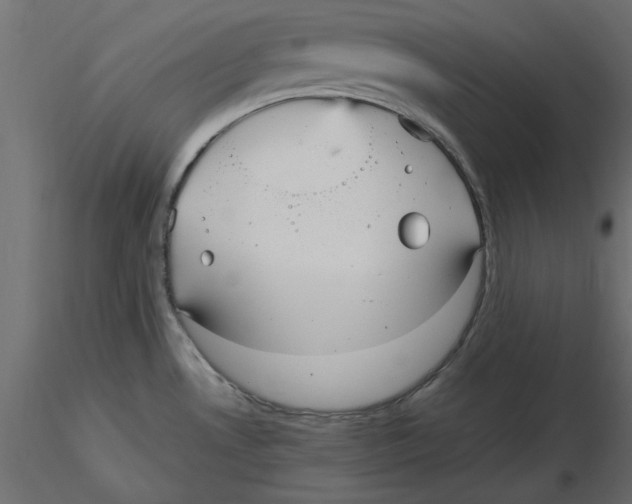 X0000116561530200912311922