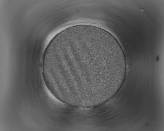 X0000116561531200912311922