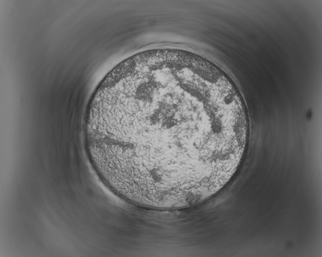 X0000116561533200912311922