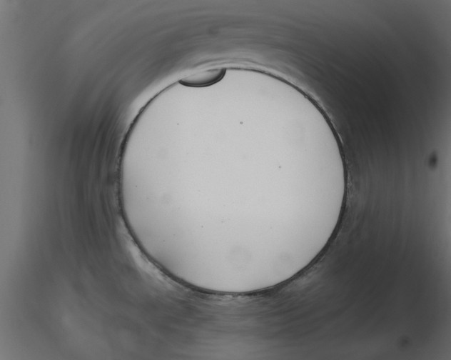 X0000116561534200912311922