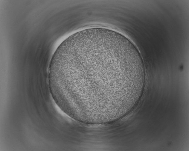 X0000116561535200912311922