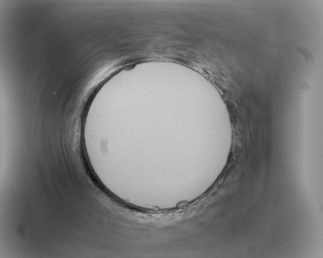 X0000116560005201001071144