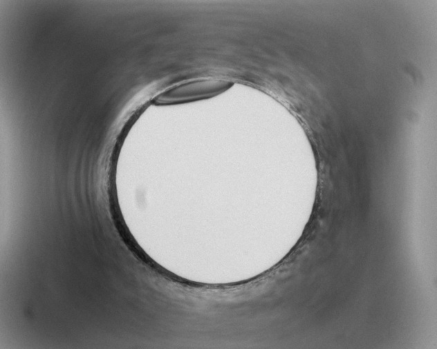 X0000116560007201001071144