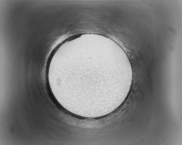 X0000116560008201001071144
