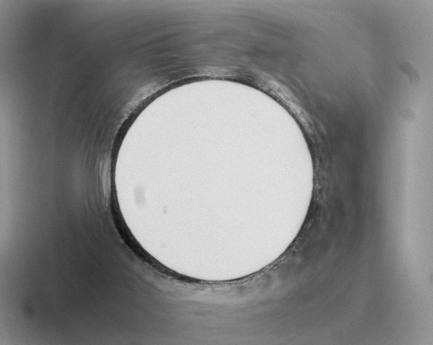 X0000116560011201001071144