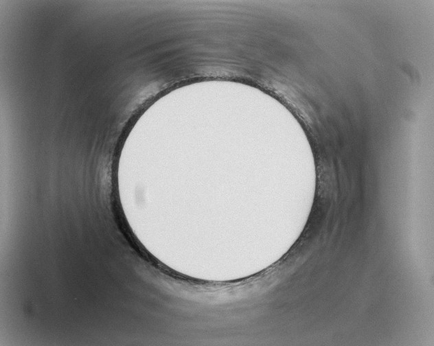X0000116560015201001071144