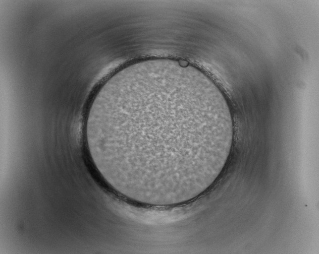 X0000116560016201001071144