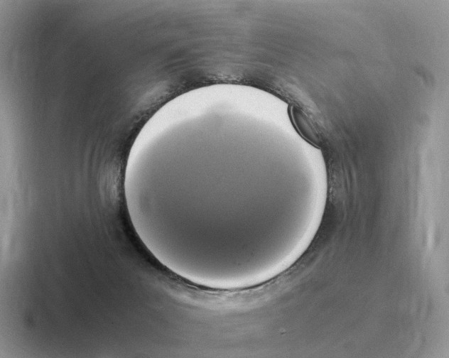 X0000116560023201001071144