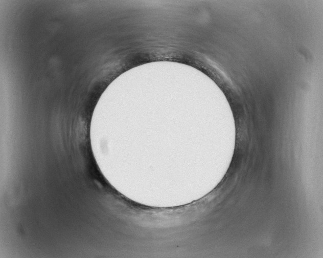 X0000116560025201001071144