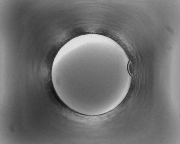 X0000116560031201001071144