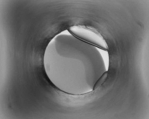 X0000116560039201001071144