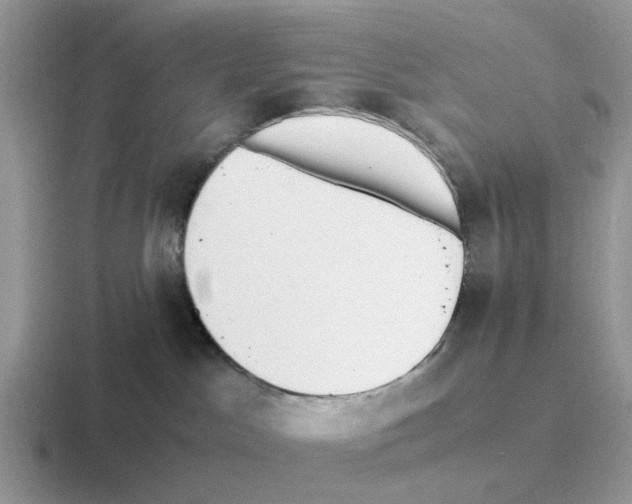 X0000116560045201001071144