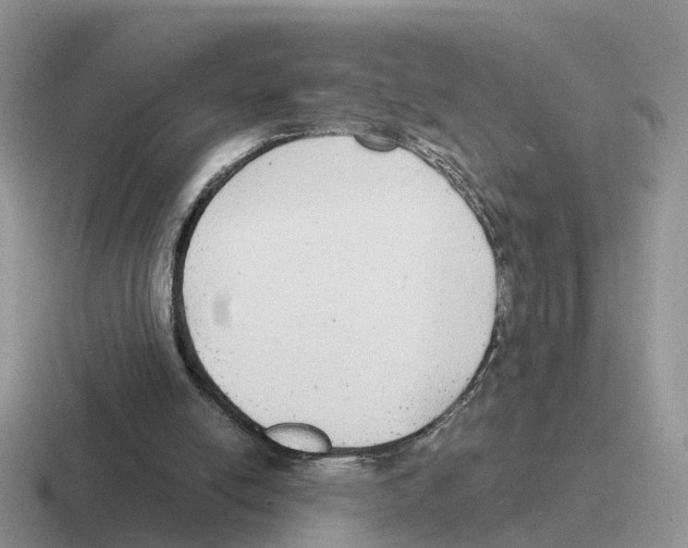 X0000116560054201001071143
