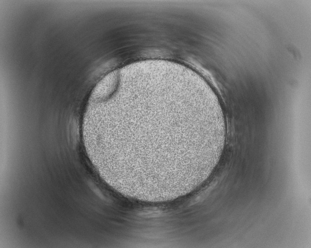 X0000116560061201001071143