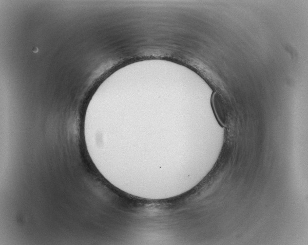 X0000116560064201001071143