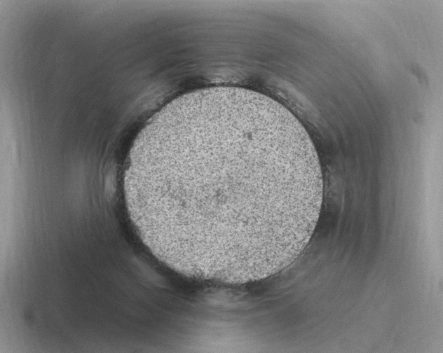 X0000116560074201001071143