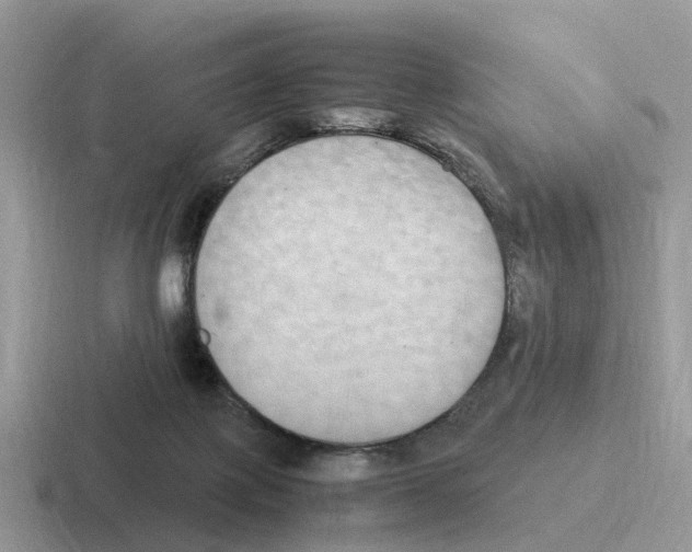 X0000116560075201001071143