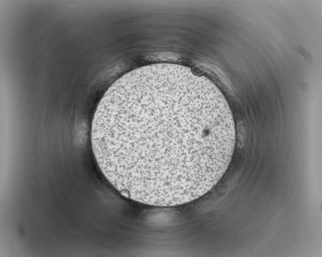 X0000116560077201001071143