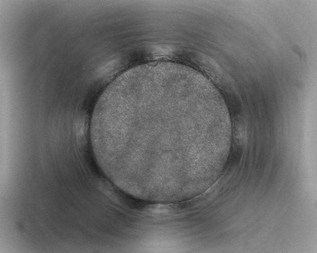 X0000116560082201001071143