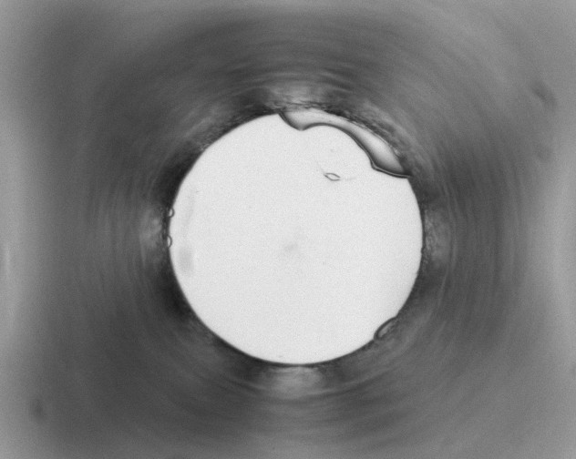 X0000116560087201001071143