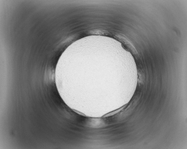 X0000116560095201001071143