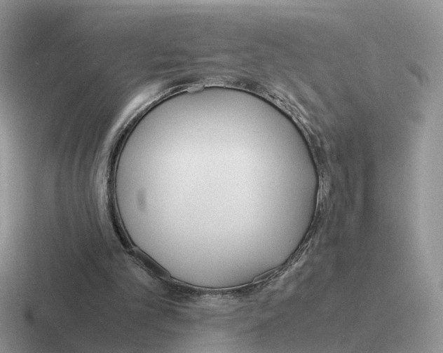 X0000116560101201001071143