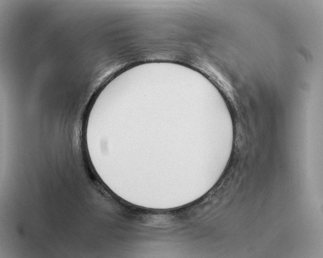X0000116560107201001071143