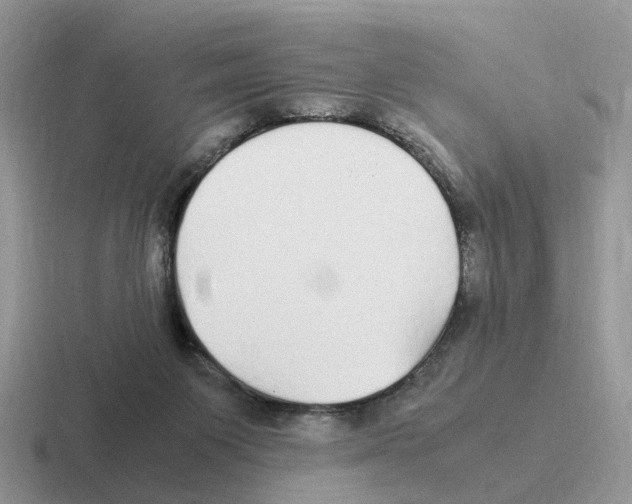 X0000116560119201001071143