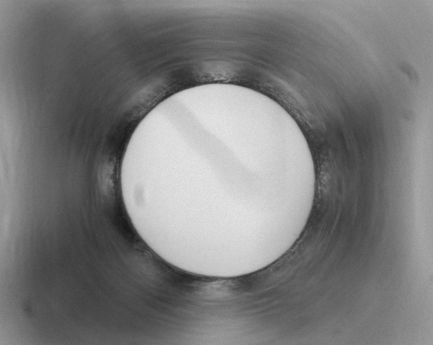 X0000116560122201001071143