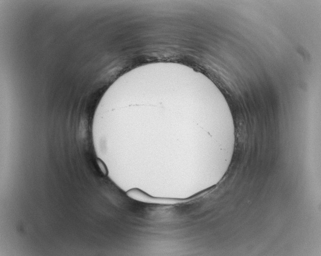 X0000116560132201001071142