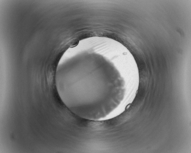 X0000116560139201001071142
