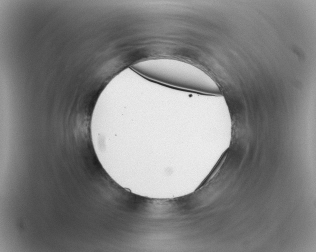 X0000116560141201001071142