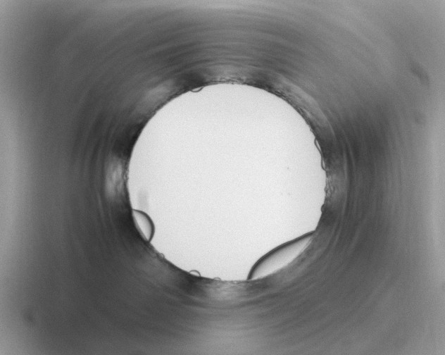 X0000116560142201001071142