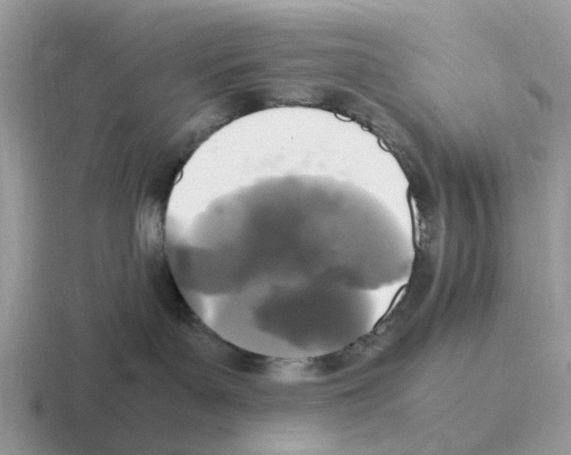 X0000116560143201001071142
