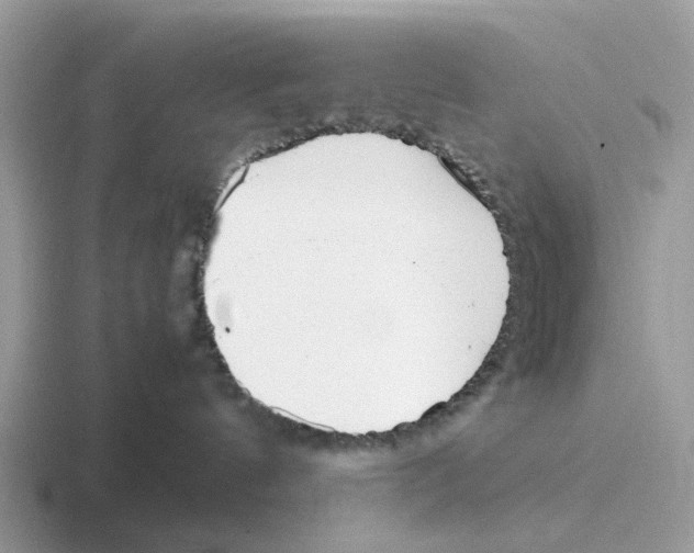 X0000116560144201001071142