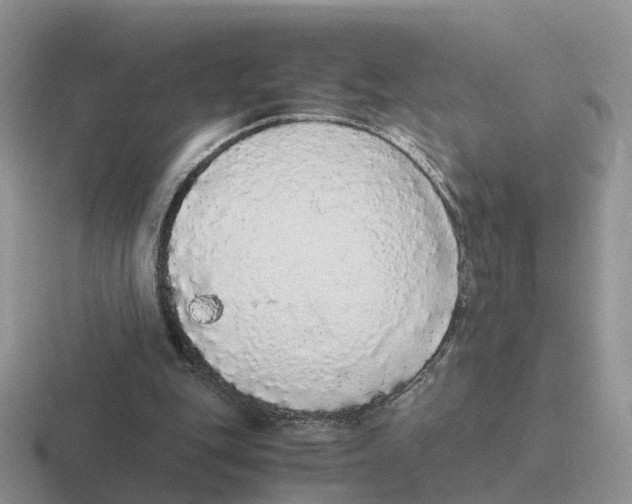 X0000116560151201001071142