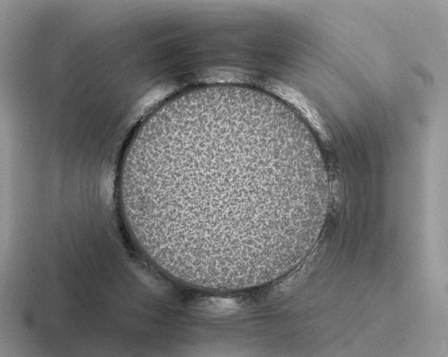 X0000116560159201001071142