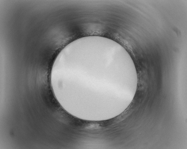 X0000116560162201001071142