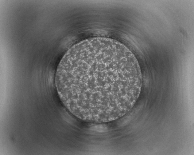 X0000116560185201001071142