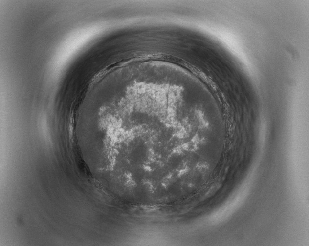 X0000116560194201001071142
