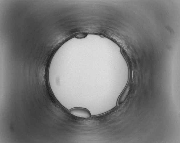 X0000116560201201001071142