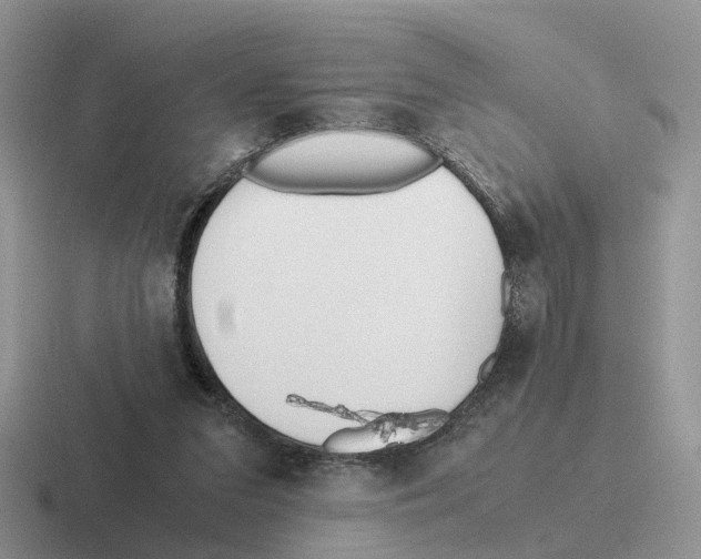 X0000116560207201001071142