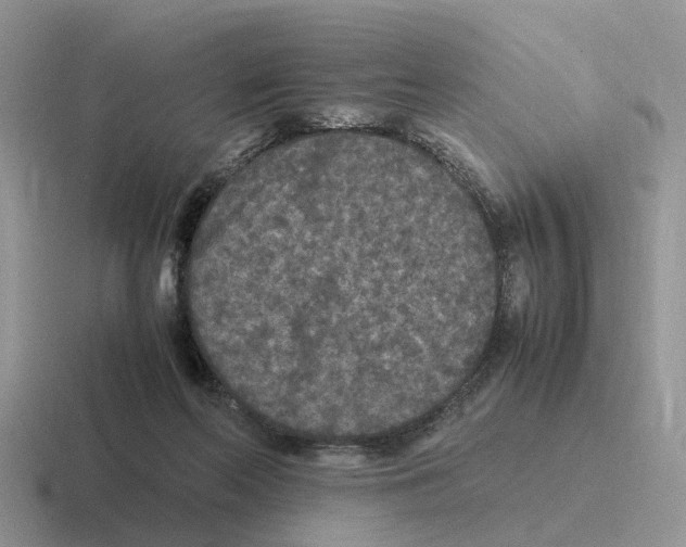 X0000116560214201001071141