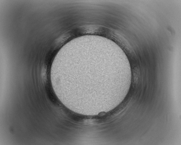 X0000116560216201001071141