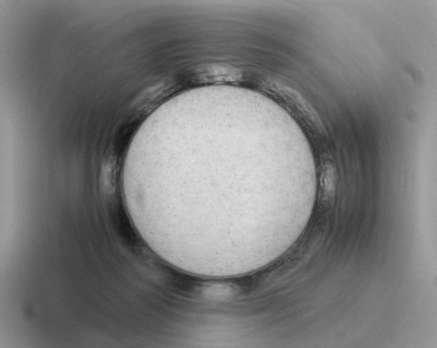 X0000116560218201001071141