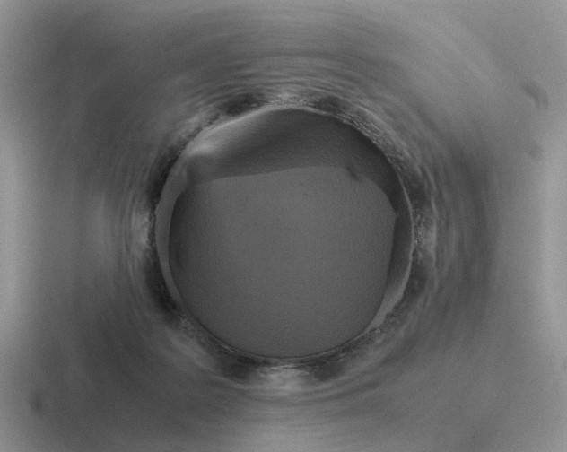 X0000116560219201001071141