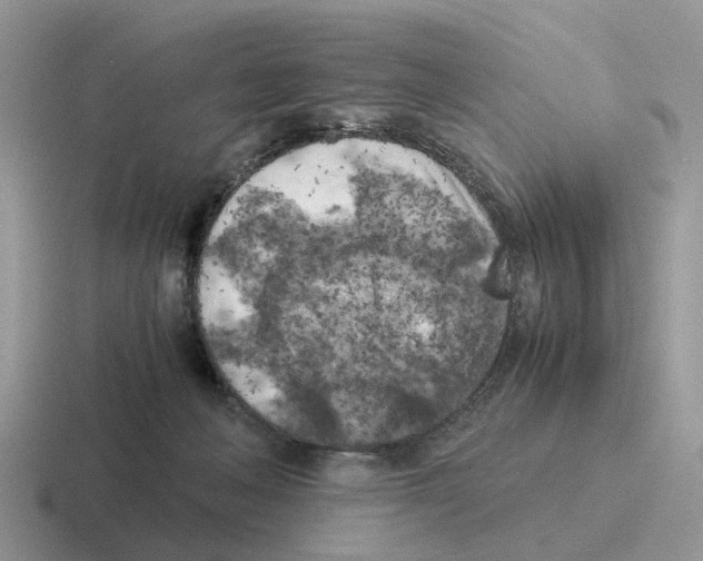 X0000116560222201001071141